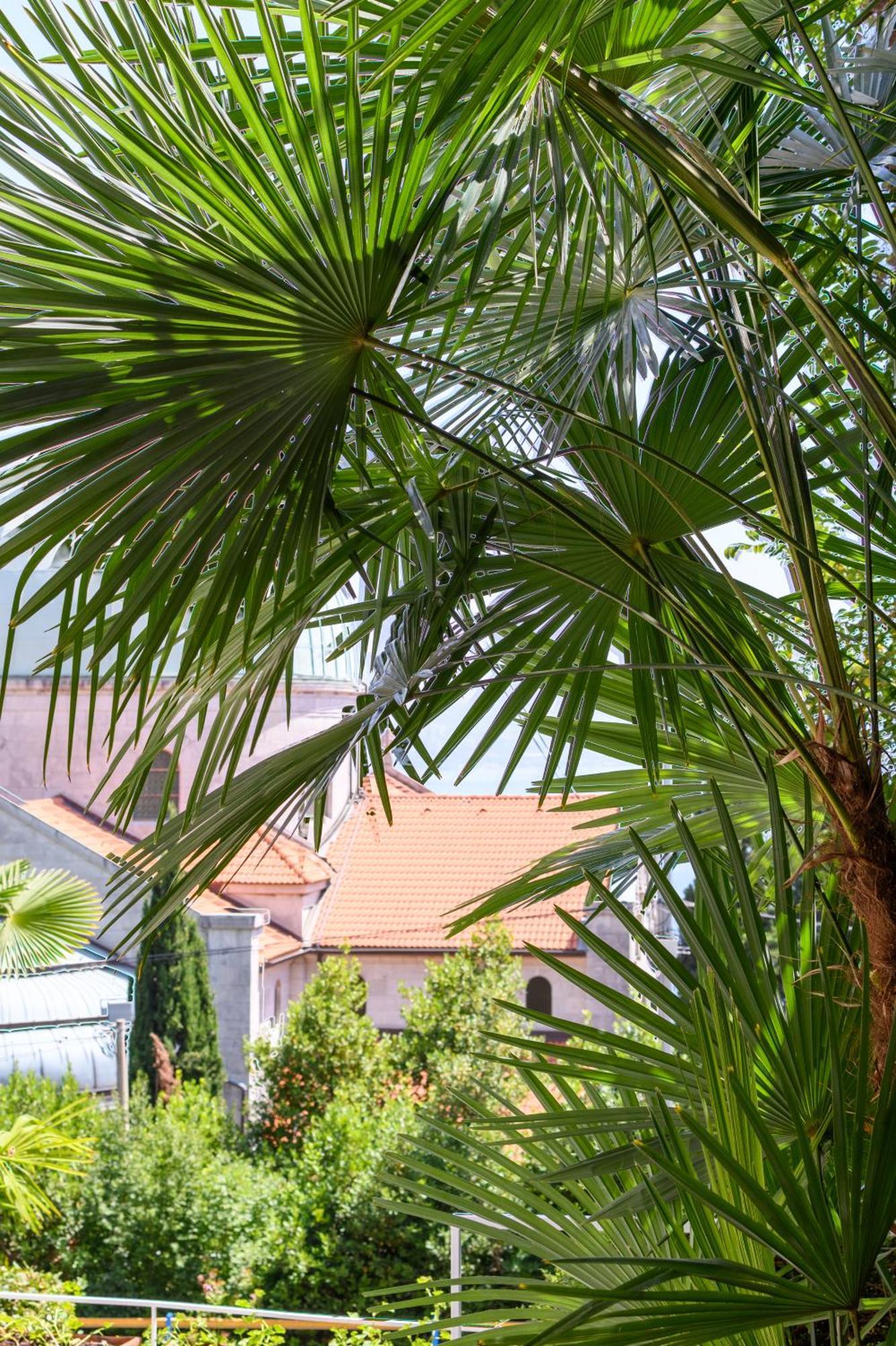 Apartmán Apartman Zara Opatija Exteriér fotografie